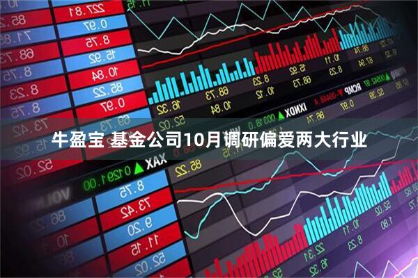 牛盈宝 基金公司10月调研偏爱两大行业